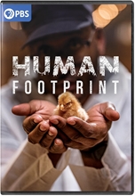 Picture of HUMAN FOOTPRINT