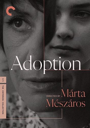 Picture of ADOPTION DVD