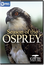 Picture of NATURE: SEASON OF THE OSPREY