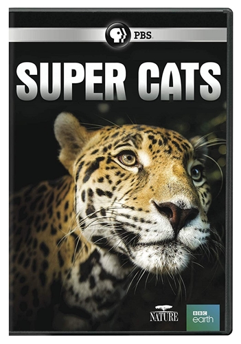 Picture of NATURE: SUPER CATS