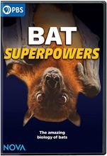 Picture of NOVA: BAT SUPERPOWERS