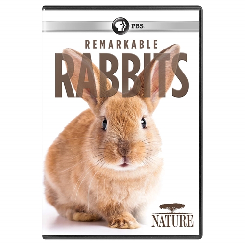 Picture of NATURE: REMARKABLE RABBITS