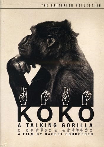 Picture of KOKO - A TALKING GORILLA/DVD