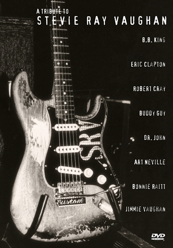 Picture of The Stevie Ray Vaughan Tribute Album by Various Artists - Pop