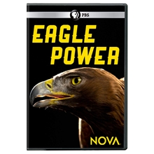 Picture of NOVA: EAGLE POWER