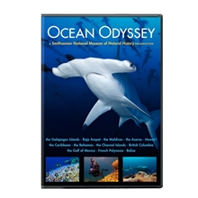 Picture of OCEAN ODYSSEY