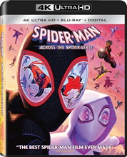 Picture of SPIDER-MAN: ACROSS THE SPIDER-VERSE