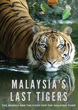 Picture of MALAYSIA'S LAST TIGERS