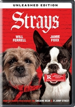 Picture of STRAYS