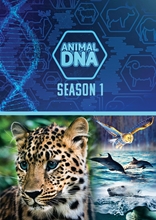 Picture of Animal DNA: Season One