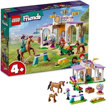 Picture of LEGO-LEGO Friends-Horse Training