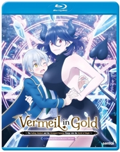 Picture of VERMEIL IN GOLD: COMPLETE COLLECTION/BD