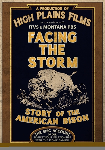 Picture of Facing The Storm: Story Of The American Bison