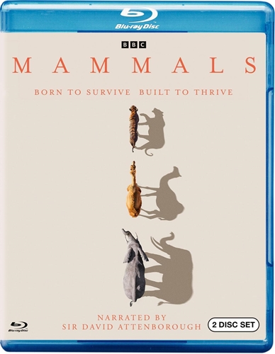 Picture of Mammals [Blu-ray]