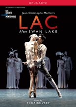 Picture of SWAN LAKE