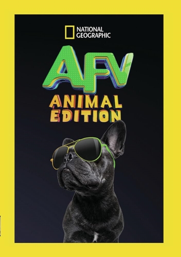 Picture of AMERICA'S FUNNIEST HOME VIDEOS: ANIMAL EDITION