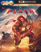 Picture of FLASH