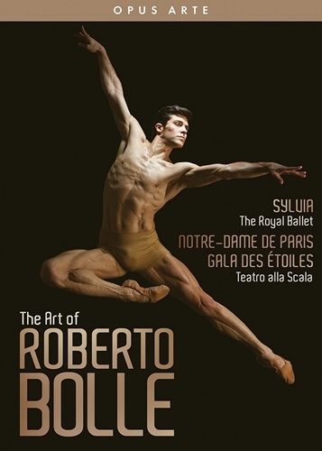 Picture of ARTE OF ROBERTO BOLLE / VARIOUS