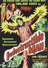 Picture of INDESTRUCTIBLE MAN