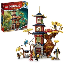 Picture of LEGO-Ninjago-Temple of the Dragon Energy Cores