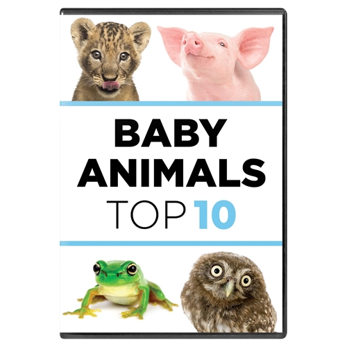 Picture of BABY ANIMALS: THE TOP TEN