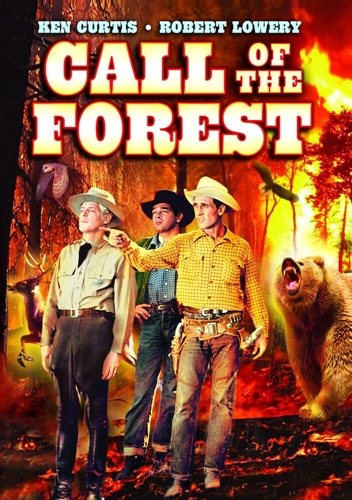 Picture of CALL OF THE FOREST