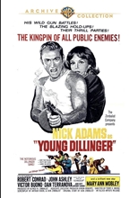 Picture of YOUNG DILLINGER (1965)