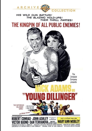 Picture of YOUNG DILLINGER (1965)