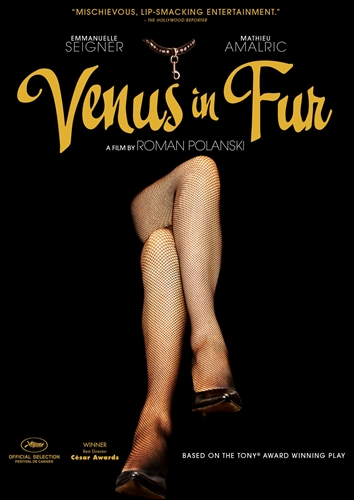 Picture of VENUS IN FUR