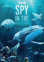 Picture of SPY IN THE OCEAN