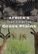 Picture of AFRICA'S DEADLY KINGDOM: GRASS PLAINS