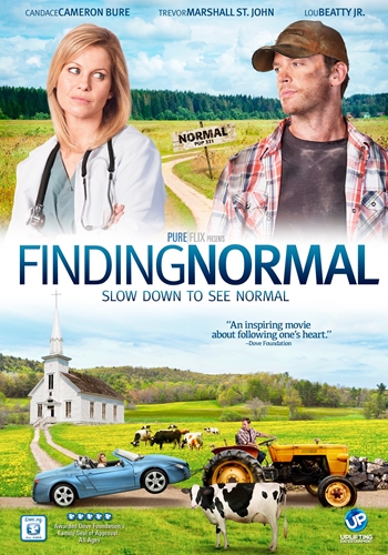 Picture of FINDING NORMAL