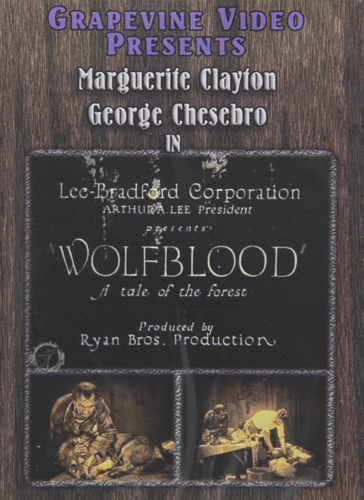 Picture of WOLF BLOOD (1925)