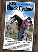 Picture of BLACK CYCLONE