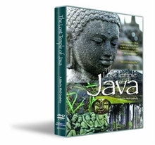 Picture of LOST TEMPLE OF JAVA