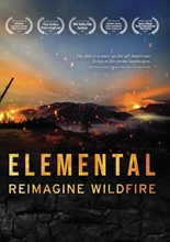 Picture of ELEMENTAL: REIMAGINE WILDFIRE