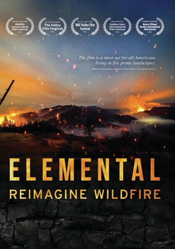 Picture of ELEMENTAL: REIMAGINE WILDFIRE