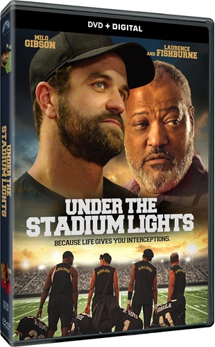 Picture of UNDER THE STADIUM LIGHTS