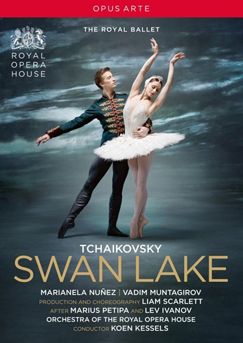 Picture of SWAN LAKE