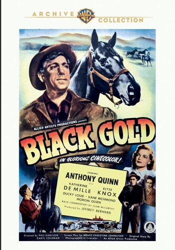 Picture of BLACK GOLD (1947)