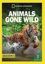 Picture of ANIMALS GONE WILD: SEASON 2