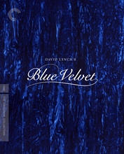 Picture of BLUE VELVET