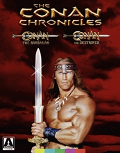 Picture of CONAN CHRONICLES: CONAN THE BARBARIAN & CONAN THE