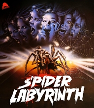 Picture of SPIDER LABYRINTH