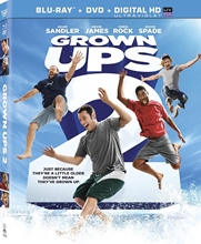 Picture of GROWN UPS 2