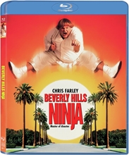 Picture of BEVERLY HILLS NINJA