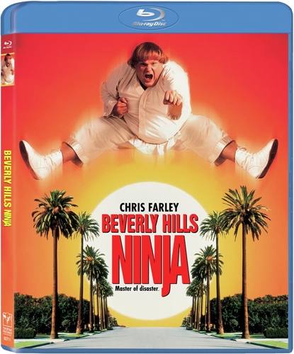 Picture of BEVERLY HILLS NINJA