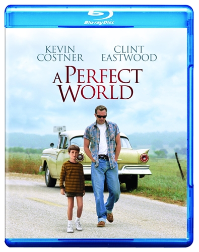 Picture of PERFECT WORLD