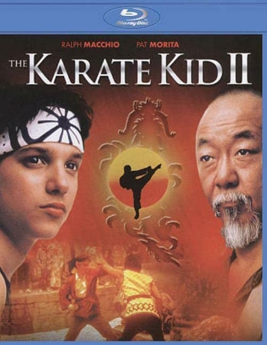 Picture of KARATE KID 2