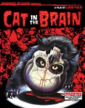 Picture of CAT IN THE BRAIN